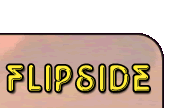 Kidd Video Flipside